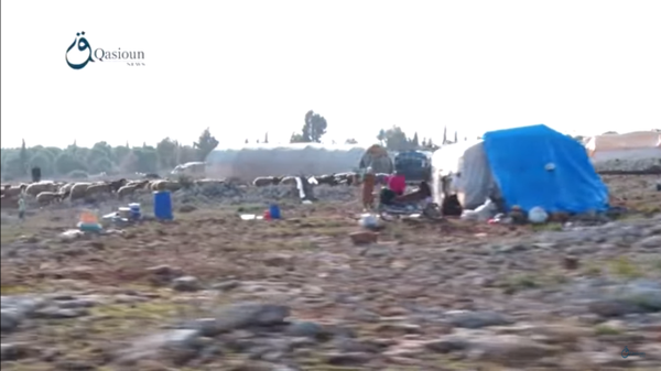 Displaced civilians in Efrin, Aleppo cs Syria - Turkey border 