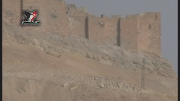 Video: SyAA controls the Palmyra citadel/castle. 