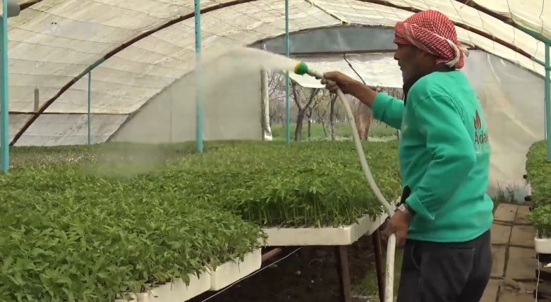 Adalah organisation starts a project in eastern Ghouta, helping farmers set up greenhouses to grow with limited resources, Damascus, Syria.