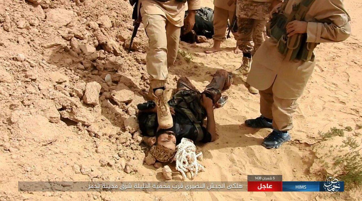 Eleven Syrian government forces were killed and one tank was destroyed by IS after a failed government attempt to advance towards Tulayla reserve near Palmyra, Syria.