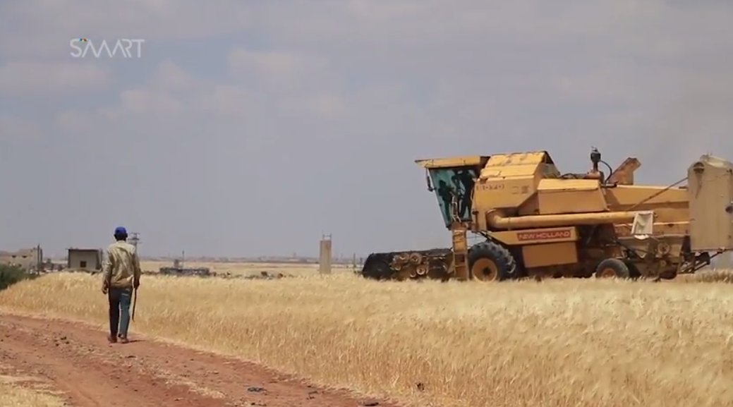 Farmers in Daraa begin harvesting wheat and barley, complain of prices of supplies. Refuse to sell to Assad government