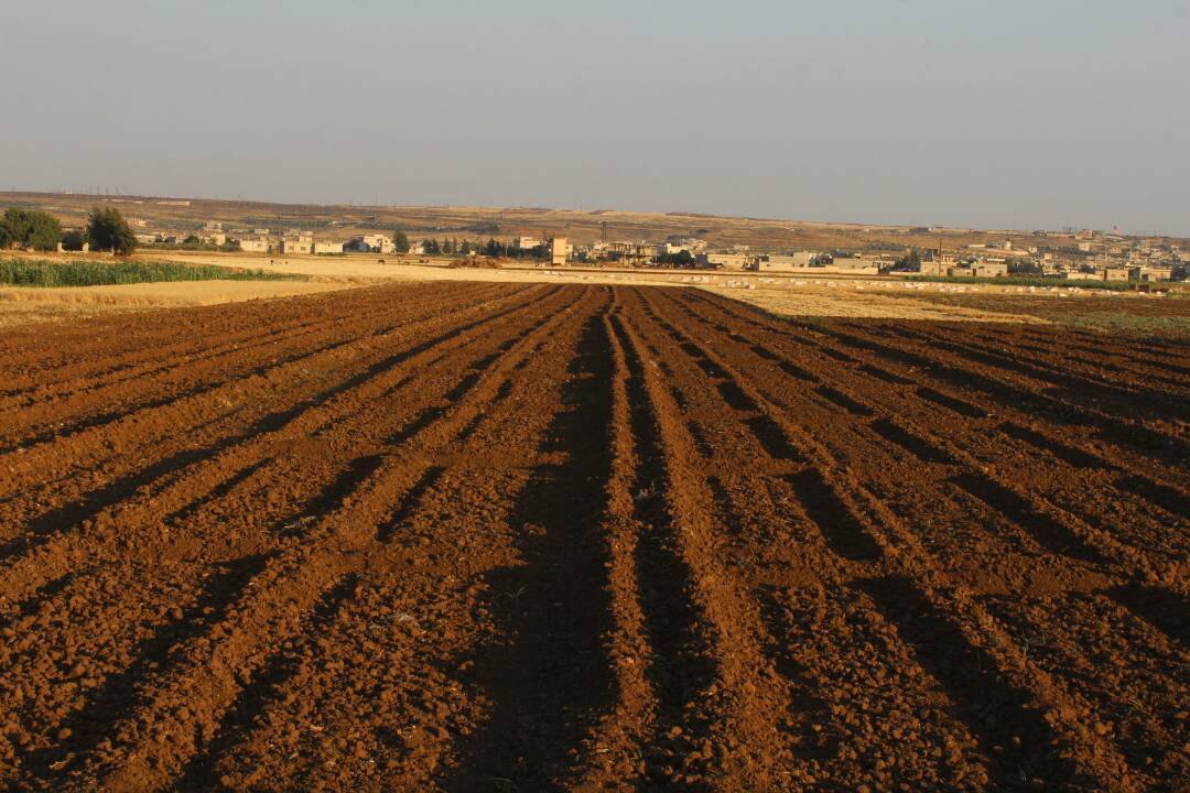 Dry waterways, dying fields in besieged al-Houleh region of northern Homs as water cuts cause growing irrigation crisis