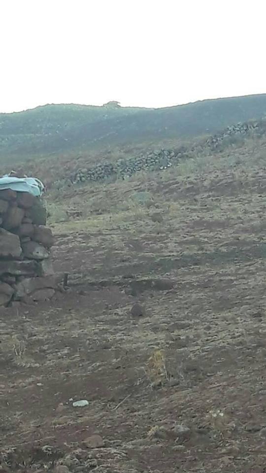 Israeli army tanks entered near Tell Akashat in Quneitra countryside