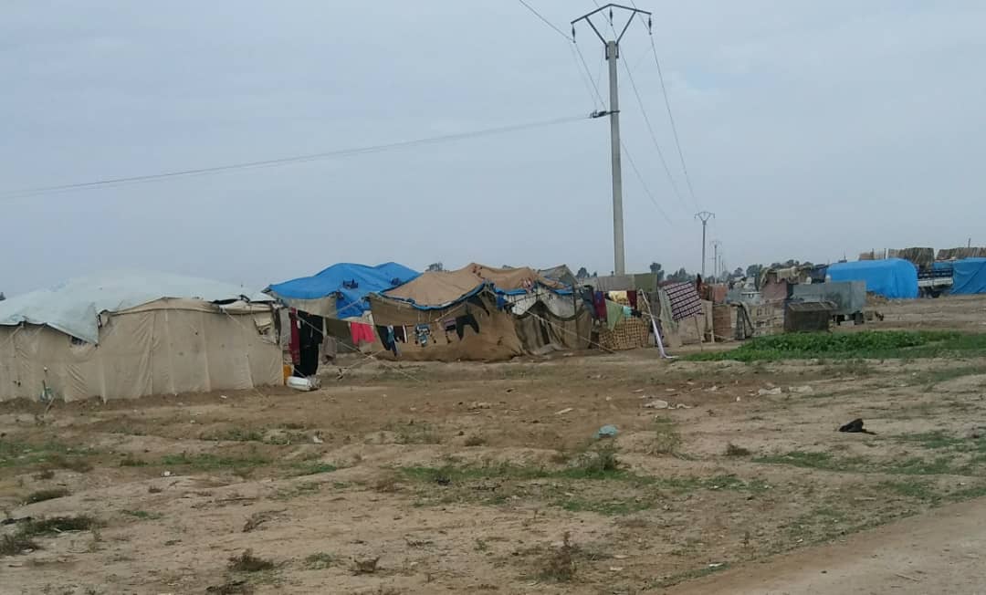Deir al-Zour: Pictures of some camps in Dheban, where about 100 tents are distributed randomly, many of the families were in the camps of Bahra and Garanj, but left for the direction of Thiban Salama