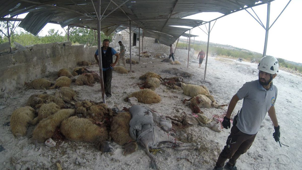 Two civilians, one of them a child, were injured, and a large number of livestock were killed in air strikes by warplanes targeting the outskirts of the town of Kansafra in the southern Idlib countryside