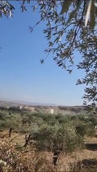 A Russian air strike targeted a quarry (stone quarry) and agricultural land in the White River area near the village of Jaftlik Haj Hammoud in the Jisr al-Shughur countryside, west of Idlib