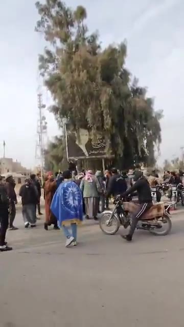 Deir Ezzor residents remove Bashar al-Assad's pictures after expelling government elements