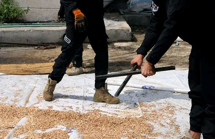 Assad's drugs still being uncovered 4 months after his downfall. A large quantity of Captagon was seized in a warehouse which belonged to the 4th Division in port of Latakia, which was once the main hub for large-scale Captagon international trafficking