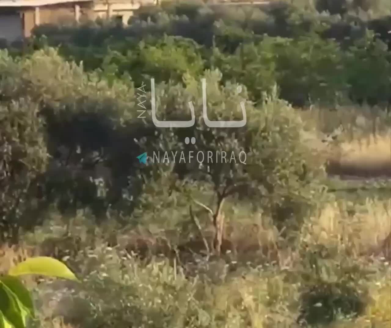 Shootout between Russian military and gunmen reported at the Khmeimim airbase in Latakia and there are casualties among Russian troops