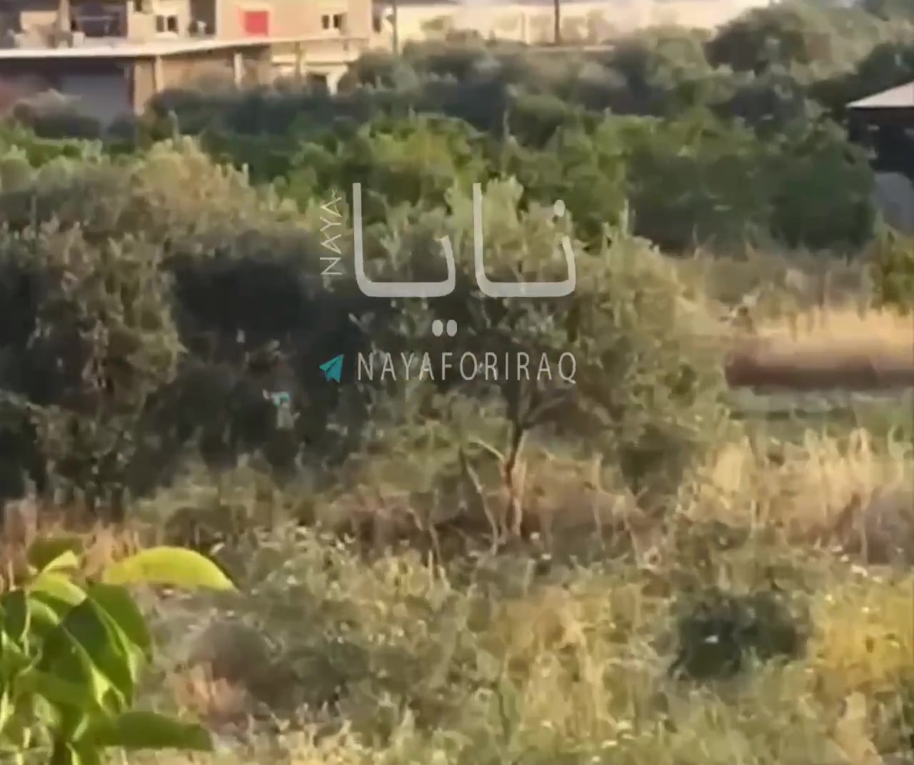 Shootout between Russian military and gunmen reported at the Khmeimim airbase in Latakia and there are casualties among Russian troops