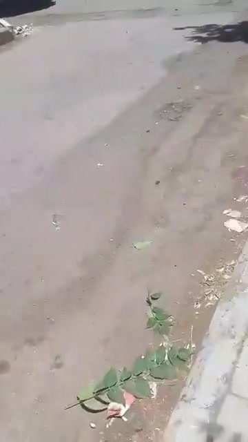 The convoy that was targeted by an Israeli drone a short while ago in Sweida