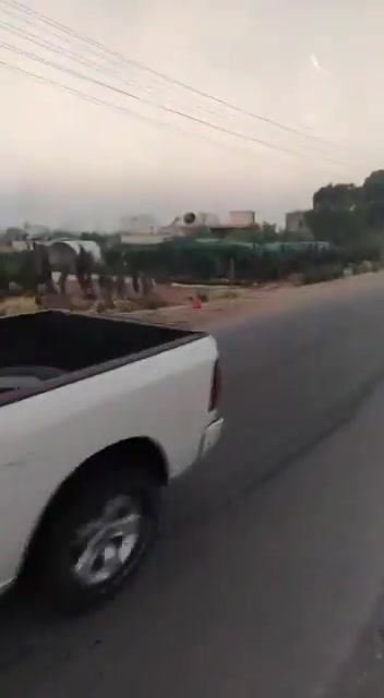 Reinforcements from the Arab tribes have arrived in Suwayda