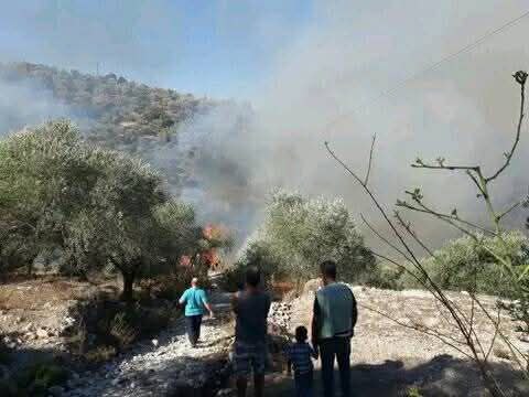 Tartous: A fire broke out between the villages of Kafroun and Darti in the Sheikh Badr countryside.