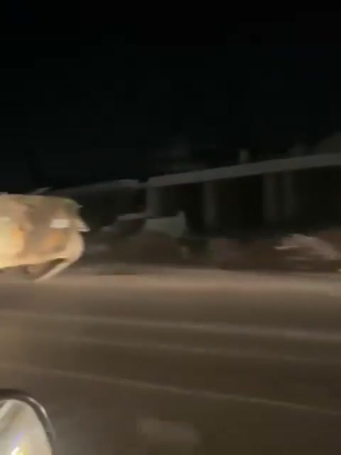 Heavy military vehicles of the Ministry of Defense moved towards the Sheikh Maqsoud and Ashrafieh neighborhoods in Aleppo.