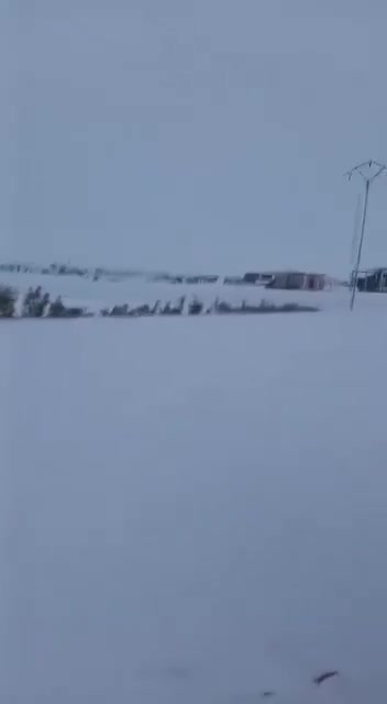 Heavy snowfall in the Hasakah countryside