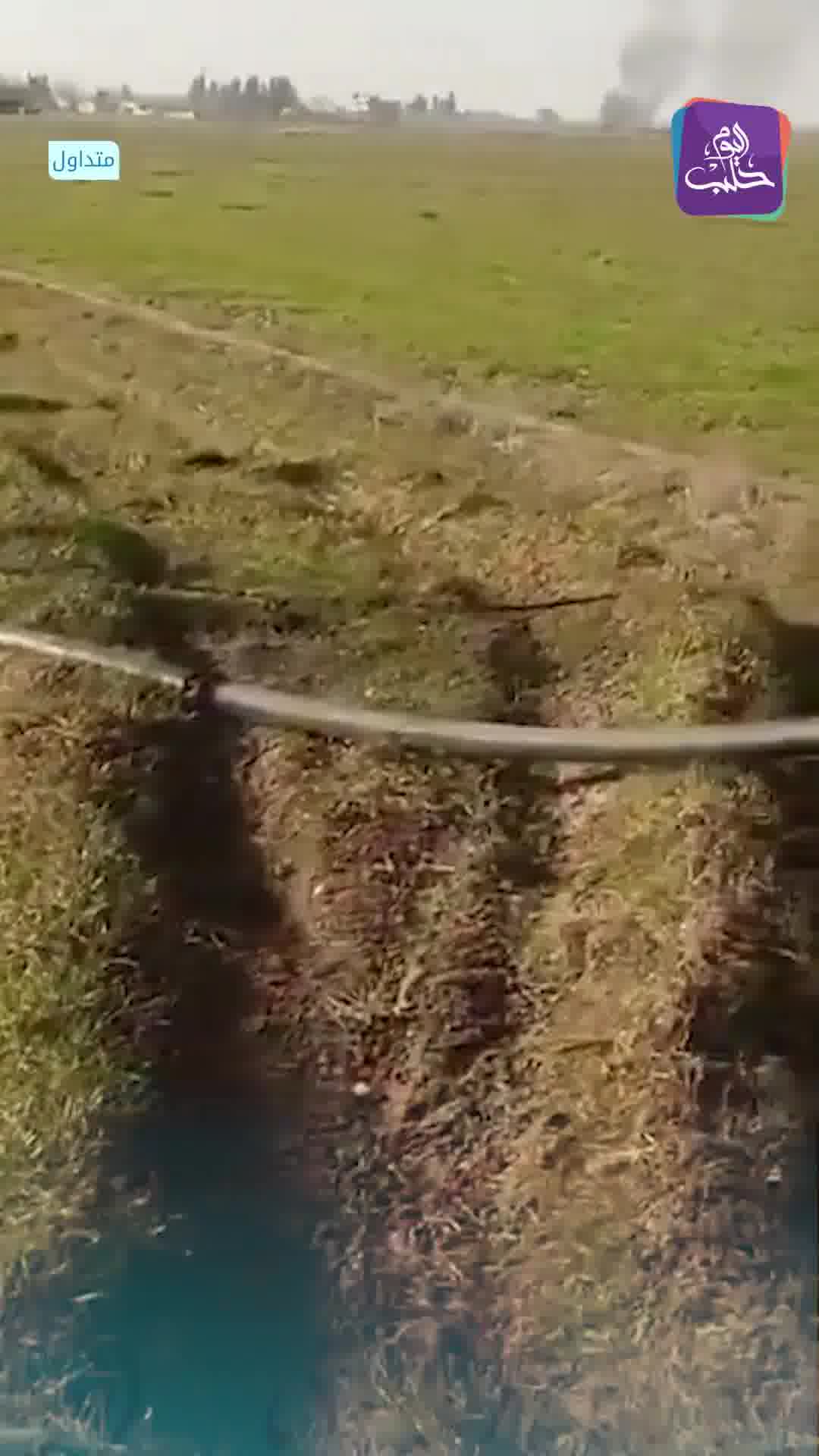 The SDF targeted the villages of Tal Ahmar, Mazra'at Tal Ahmar, and Al-Qubba with shells and heavy weapons east of Aleppo.