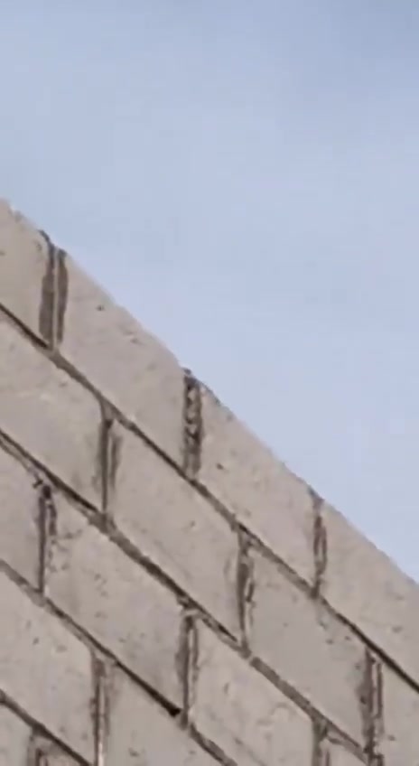 Media sources: The International Coalition continues to transfer ISIS prisoners from Syria to Iraq