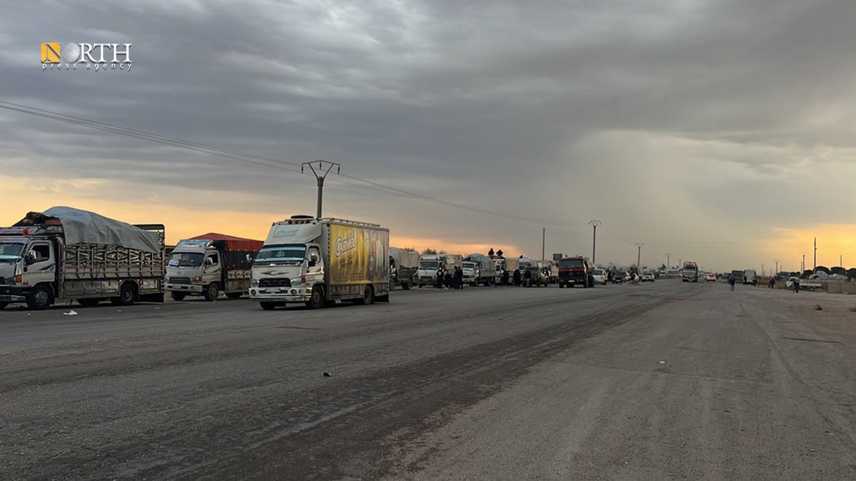 Approximately 642 displaced families from camps in the countryside of Hasakah, northeastern Syria, are preparing to return to their home areas in SereKaniye (Ras al-Ain).